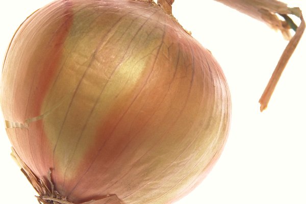 Kraken onion ссылка