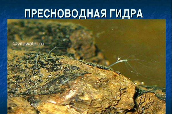 Кракен ссылка kraken